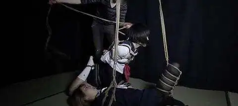 西檬之家DS关系的秘密，你了解多少？ 一