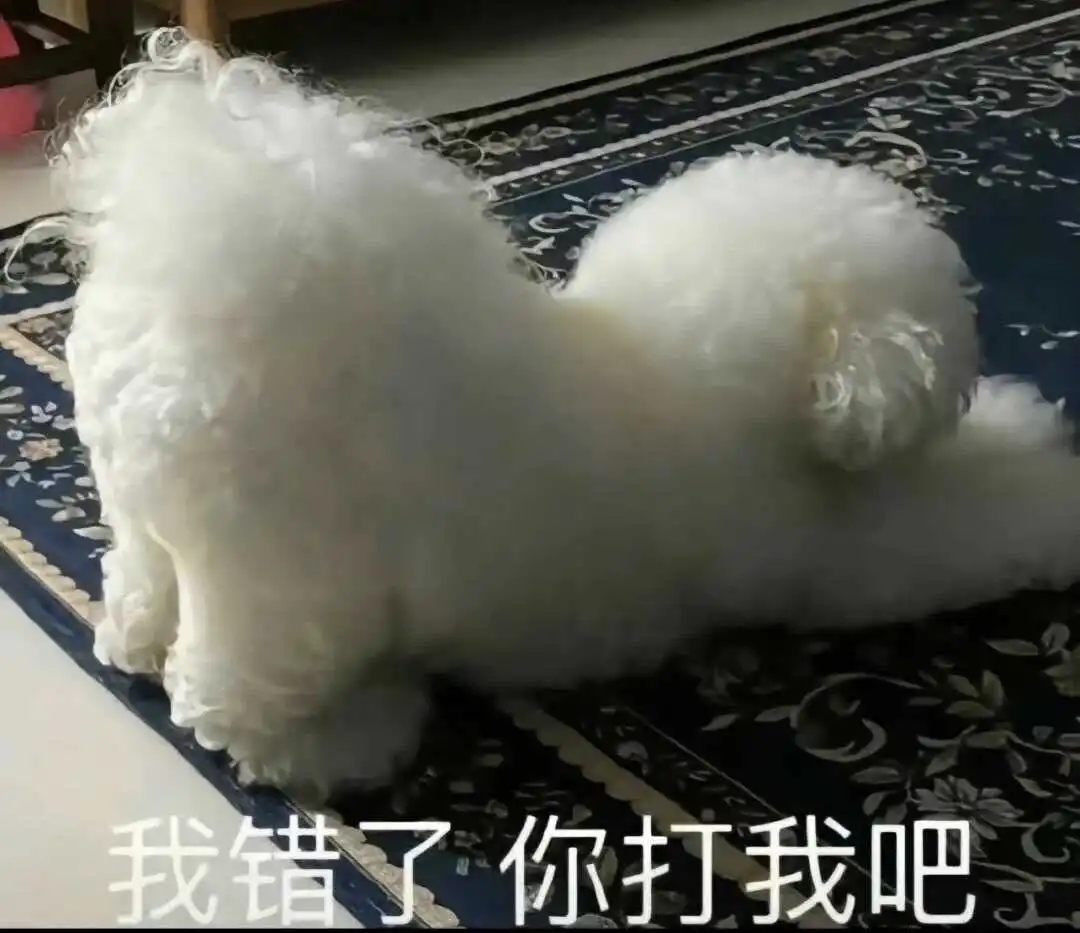 西檬之家恋物癖的秘密是什么？理解字母圈中的独特魅力 一