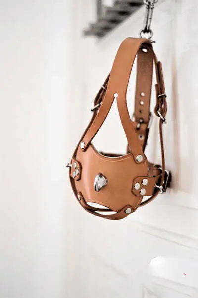 西檬之家TS角色在字母圈中的独特魅力与探索路径是什么？ 一