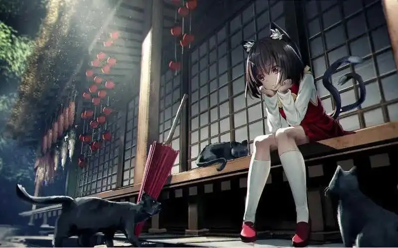 西檬之家brat属性是什么？字母圈新人如何理解和定位自己？ 一