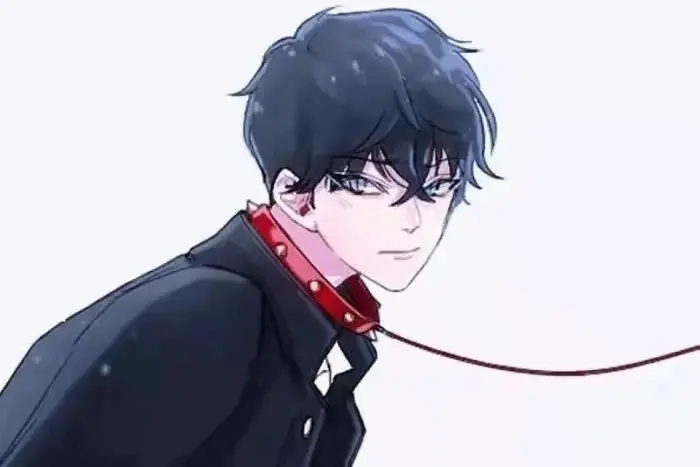 西檬之家k9犬系的真实含义是什么？解析犬系文化中的支配与臣服 一