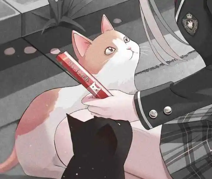 西檬之家字母圈中的TS是什么？理解这一重要概念的关键步骤 一