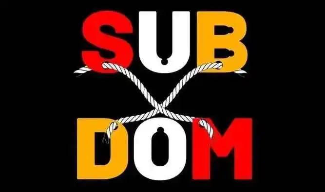 西檬之家成为一个优秀的DOM需要了解什么？字母圈新人指引 一