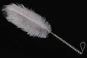 西檬之家TS在字母圈中意味着什么？探索你的真实自我！ 一