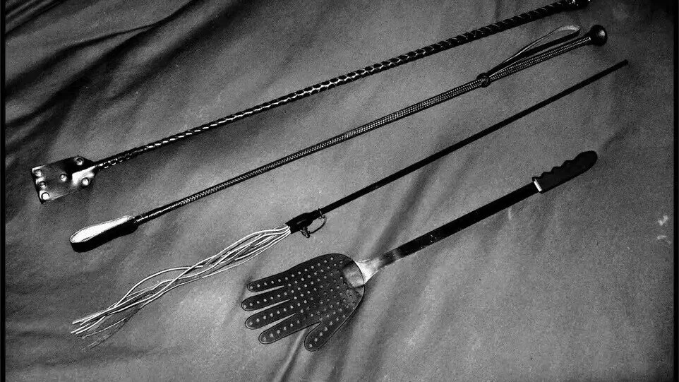 西檬之家字母圈新人入圈必读指南 一