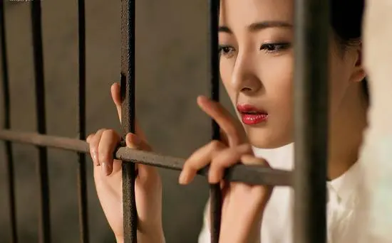 k8猫系2025年猫咪生活方式大揭秘，如何打造属于你的猫咪天堂？ 一