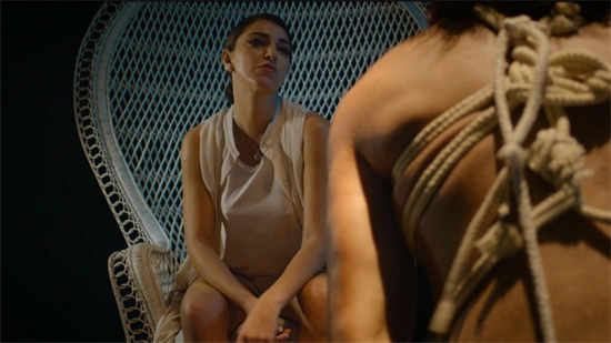 西檬之家k8猫系是什么？探索你的猫咪身份和BDSM属性！ 一