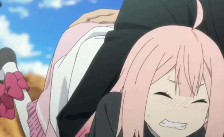 西檬之家k9犬系入门指导，如何开启你的犬系之旅？ 一