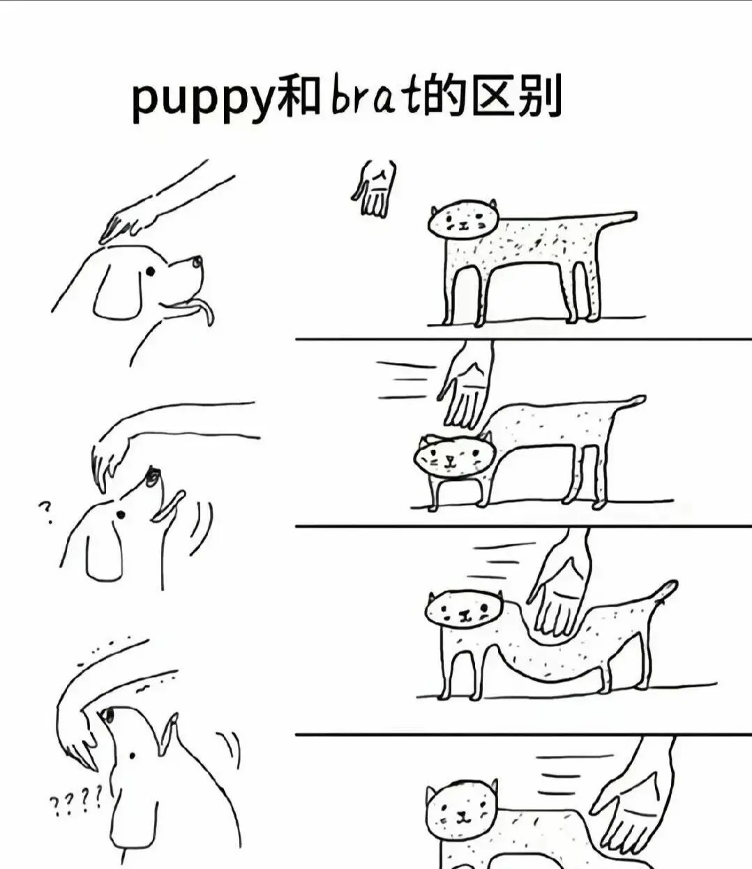 西檬之家字母圈中的管教是什么？如何有效建立信任与沟通？ 一