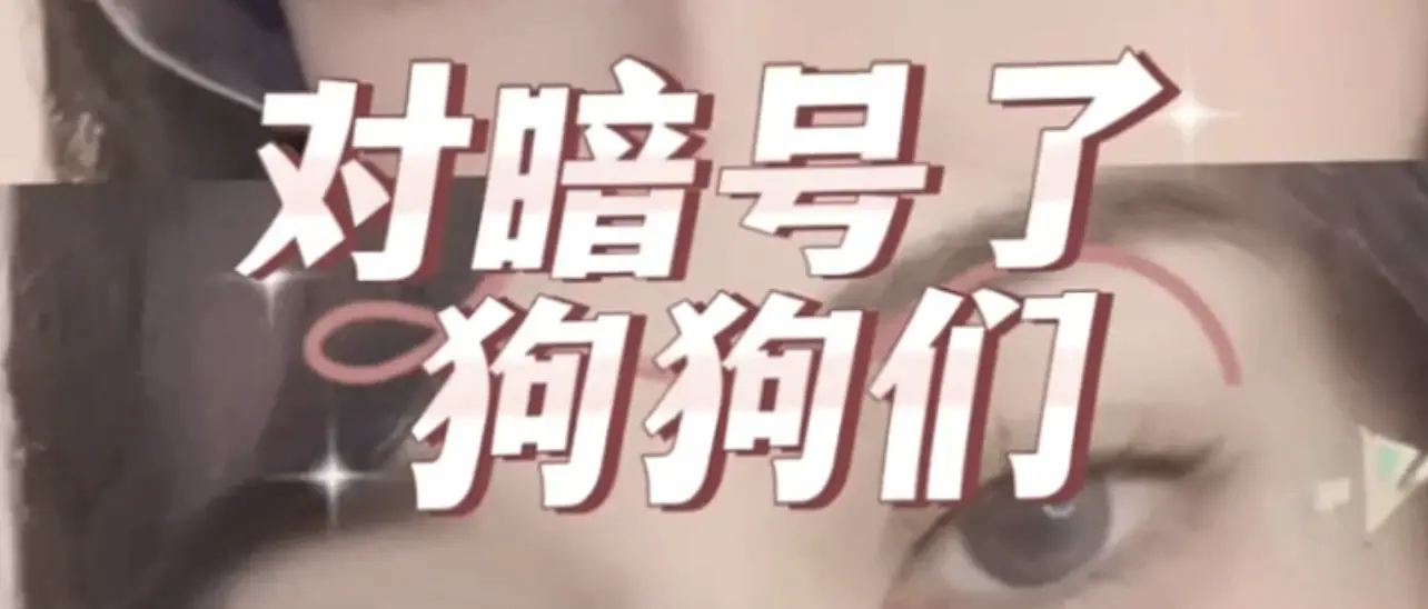 西檬之家字母圈入圈新手必读指南：如何安全探索你的边界？ 一