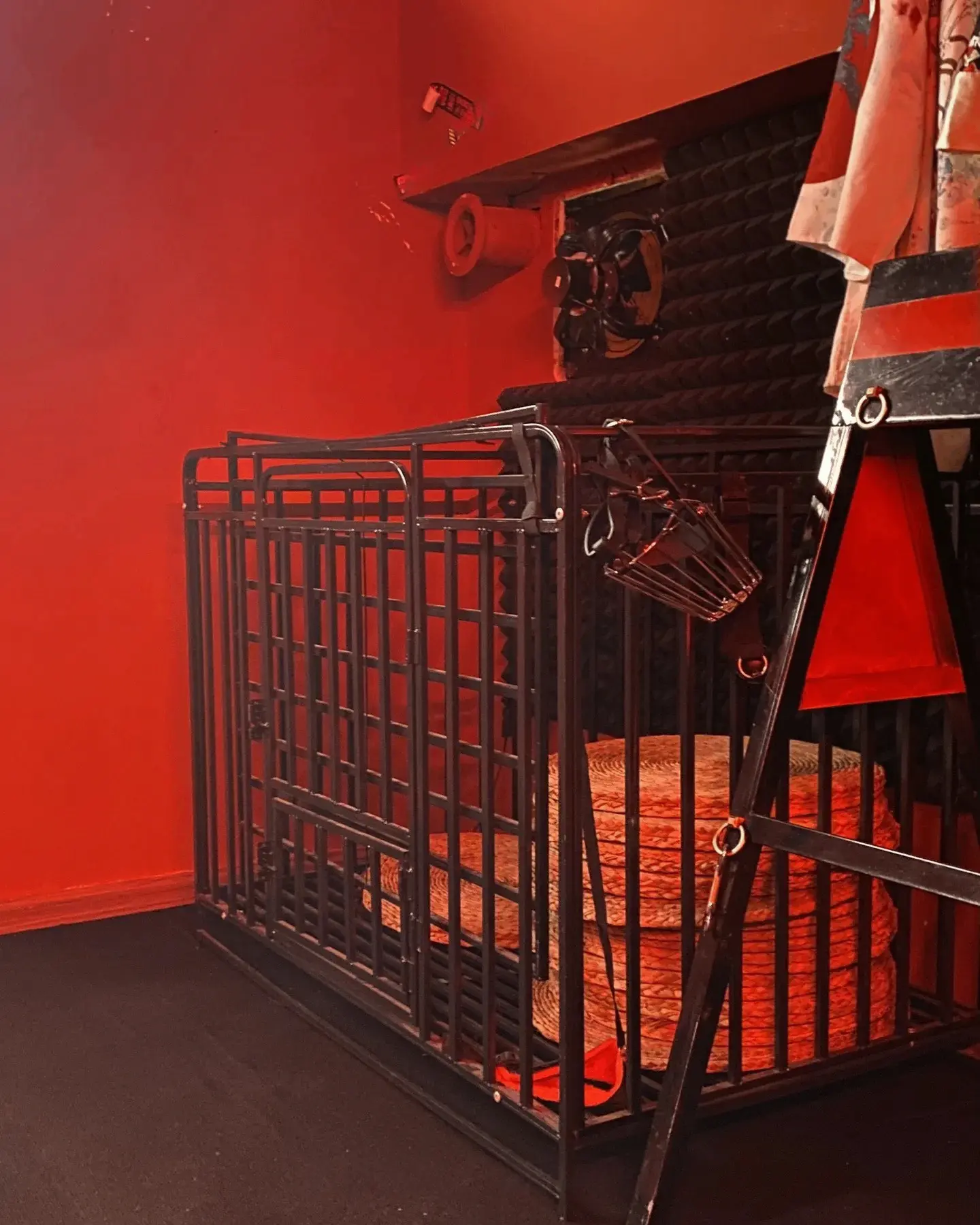 西檬之家圣水玩法大揭秘，你了解这些技巧吗？字母圈新手必看！ 一