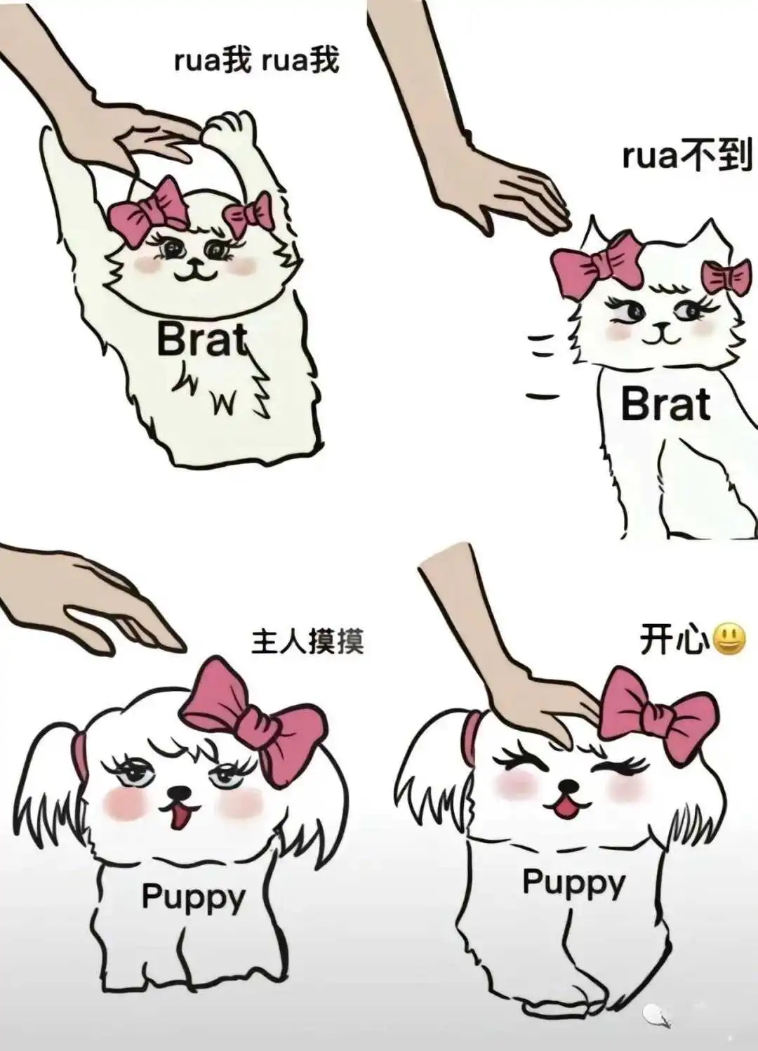 西檬之家安全词设置指南！字母圈新人如何保证交流无障碍 一