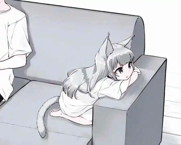 西檬之家k8猫系究竟是什么？探索你在字母圈的独特魅力 一