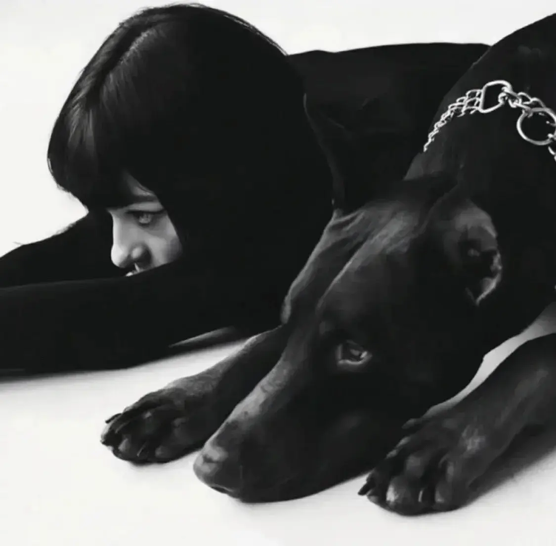 西檬之家k9犬系是什么？深入解析字母圈中的犬系文化 一